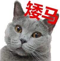 ˸Цֱ ΢רñ(5)_WWW.AIGEXING.COM