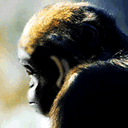2015΢ű(3)_WWW.AIGEXING.COM