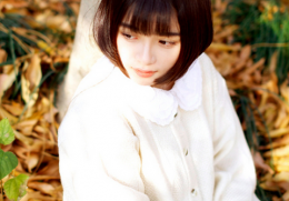 ŵ΢ ũ庢ӱ˧