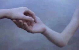qqȫ2015 