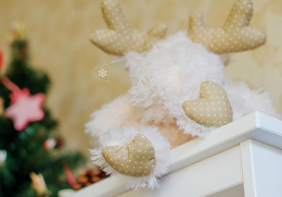 еįʥڸǩ2015 ʥڶ˵ʲô