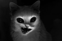 qqǳƳק ĸͳ