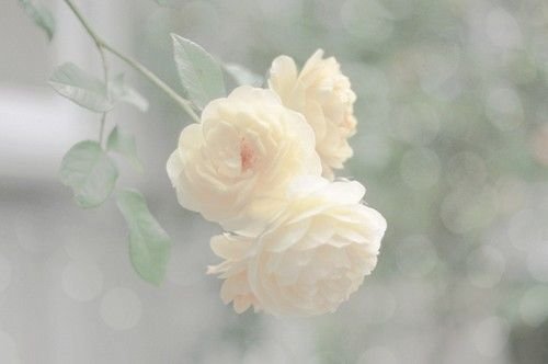 ΨÿĻͼƬ ΪͬЦ(7)_WWW.AIGEXING.COM
