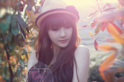 ǲҡ