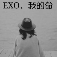 exoŮͷӰ2015 ǻᷢexo(4)_WWW.AIGEXING.COM