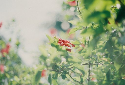 ⾳¿ռͼƬ Ʒת(2)_WWW.AIGEXING.COM