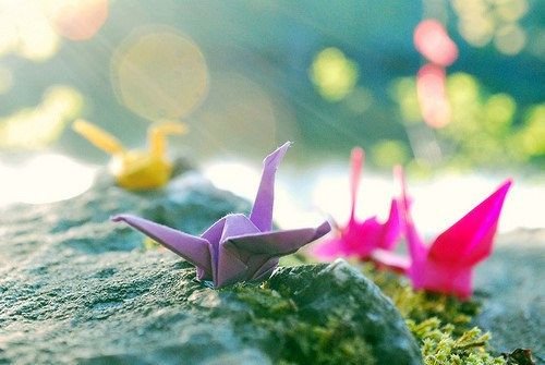 ֵȫ2016(1)_WWW.AIGEXING.COM