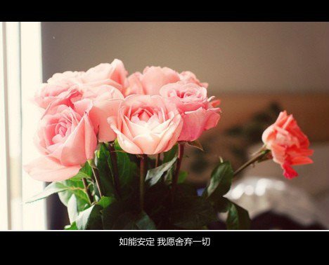 2015⾳ÿͼƬ ҪЦٴ(2)_WWW.AIGEXING.COM
