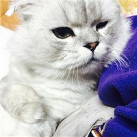 ˧qqͷ δҵԺ(9)_WWW.AIGEXING.COM