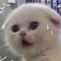 学生小女孩卡通头像(17)