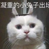 卡通头像阳光唯美小清新可爱(2)