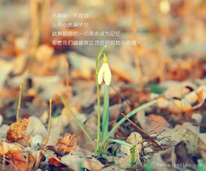 有诗意的三字游戏情侣名字