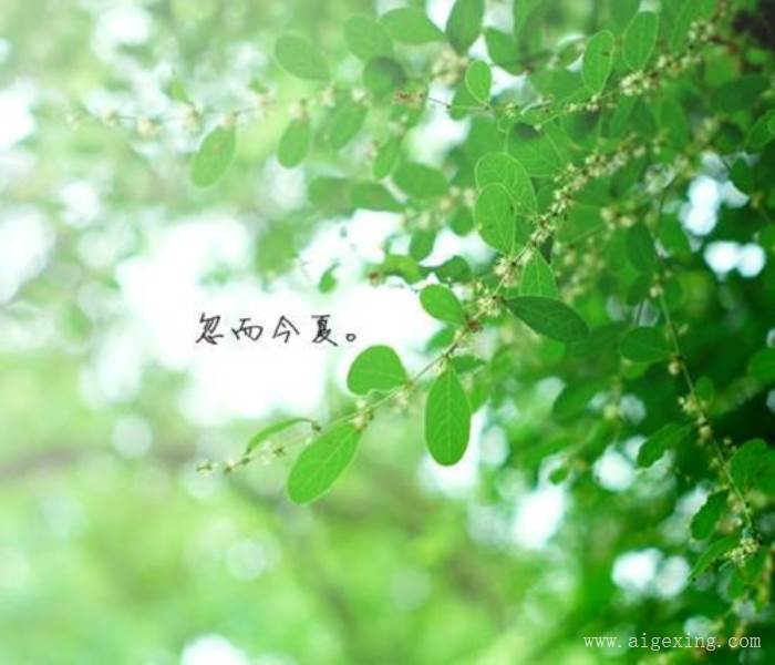 微信2018好运微信昵称