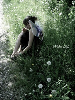 2017˸еľ˵˵;Ϊ㣬Ժʧȥ