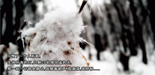 ֺľǩ;ˮζҼĳ