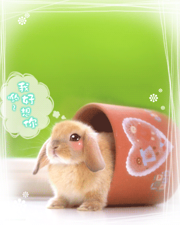 İǩ;ԭǸһյ