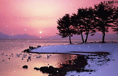 ˮľӼ;Щ£