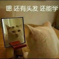 qq头像卡通 呆萌 女生头像