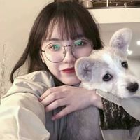 哈士奇和柴犬情侣头像图片(3)