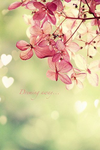 Щ羰ϵQQƤ (3)_WWW.AIGEXING.COM