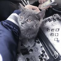 阳光正能量微信头像(5)