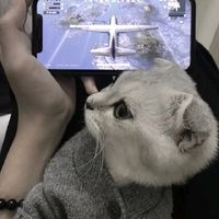微信拉黑我看不见他的头像