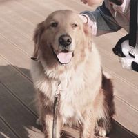 nba球星情侣头像(19)