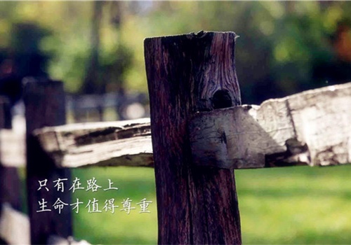 想忘掉过去微信名字
