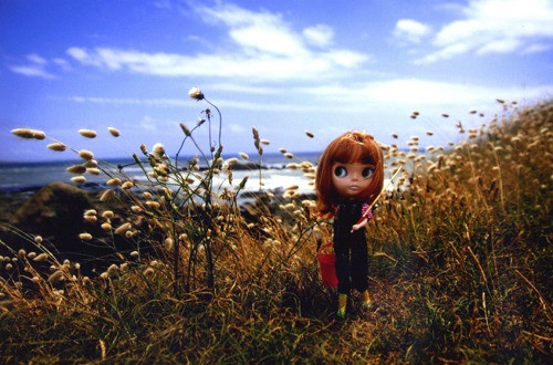 女生昵称唯美霸气