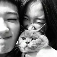 哈士奇和柴犬情侣头像图片(20)