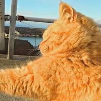 文艺情侣头像吧(19)