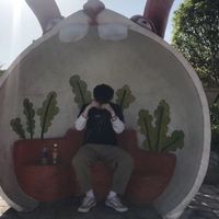 微信拉黑我看不见他的头像(11)