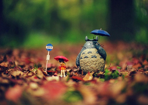 流星雨的眼泪+网名名