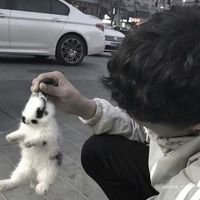 怎样做qq情侣头像(6)