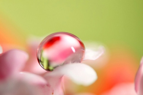思雨起昵称