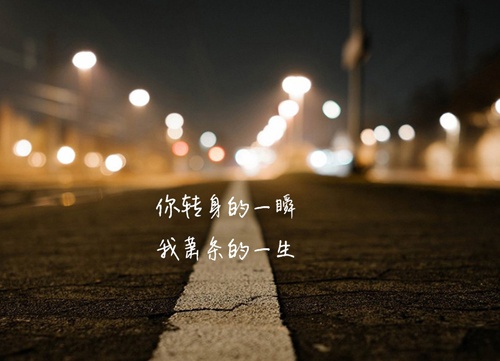 行尸走肉网名设计