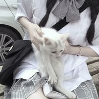 女生笑着抱猫的头像(5)