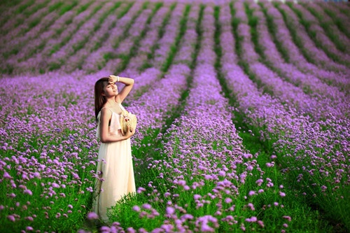 蜂蜜柚子茶情侣网名