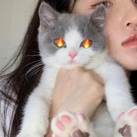 qq女生头像 可爱 萌萌(10)