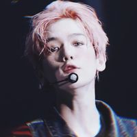 沙皮狗微信头像寓意(15)