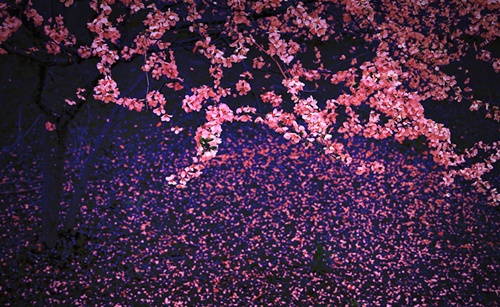 平安类的昵称