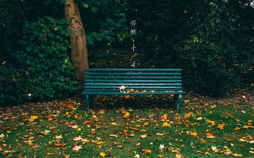 紫蕊网名