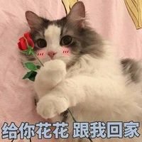 小头像微信头像卡通情侣头像图片(15)