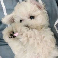 不上色情侣头像