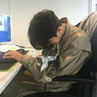 qq头像男生可爱萌简单(9)