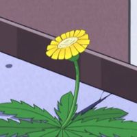 男厨师卡通头像高清(15)