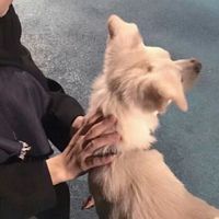 不明显头像情侣头像(15)