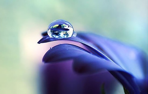 花花的微信昵称
