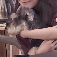 qq背影情侣头像一人一张(8)