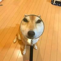 q版lol英雄情侣头像